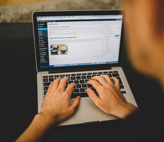 6 Best Wordpress Themes for Bloggers That Make Websites More Attractive