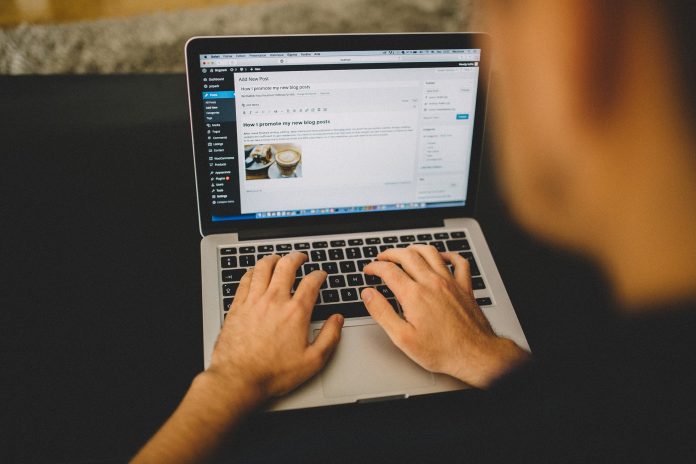 6 Best Wordpress Themes for Bloggers That Make Websites More Attractive