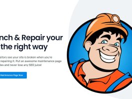 A Detailed Review of The WP Maintenance Plugin: Discover Some of The Best Features
